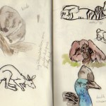 zoo sketches 5 zoo sketches 5