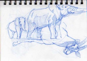 amnh01