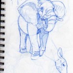 amnh02