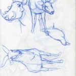 amnh03