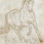 horseetching01