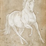 horseetching02