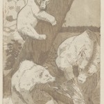 bearetching02
