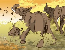 Dusty Elephants