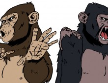 Fightin’ Fools